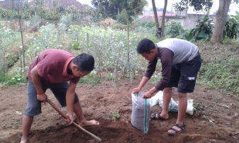 Mencari tanah untuk kegiatan menanam tanaman hidroponik desa Pujon Lor